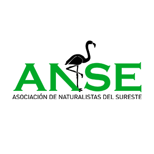 ANSE