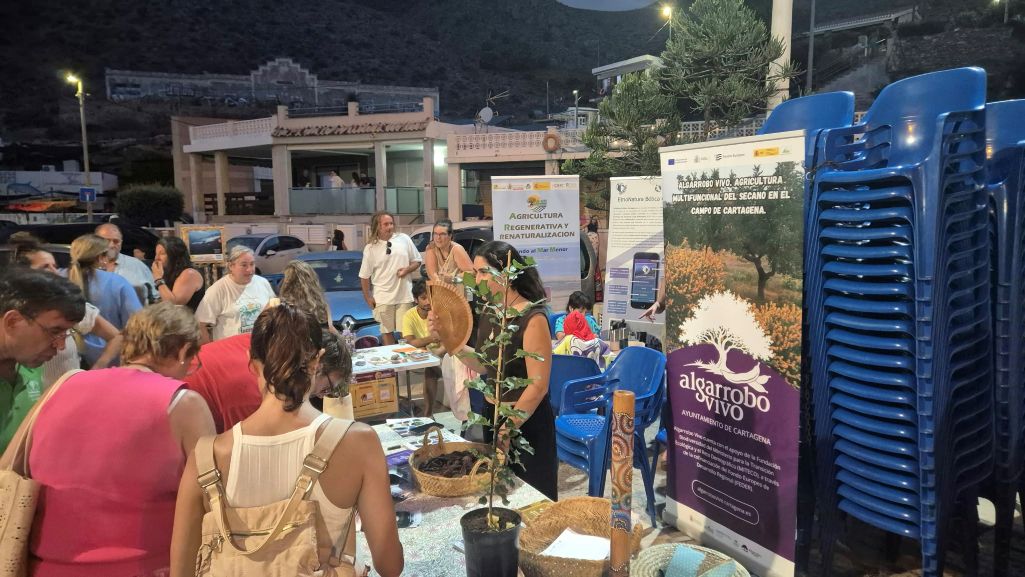 FERIA DEL MAR