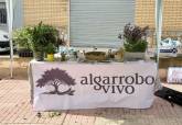 Actividad algarrobo